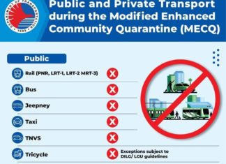 DOTR: Limited Transpo During MECQ