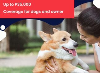 Fur Parents Must Have: Cebuana Lhuillier Pet Insurance
