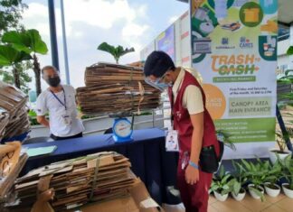 5 Affordable and Simple Ways Everyone Can Be an Eco Warrior