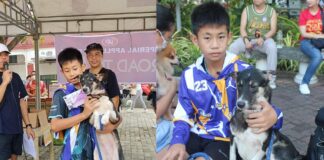 Child’s Rescued Dog Wins The ‘Canine Companion’ Award During The Animal Welfare Week