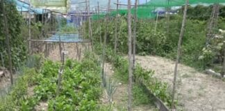 Nueva Ecija Aims To Transform Into A Premier Farm Tourism Destination