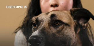 As Pet Wellness Takes Center Stage, Proactive Nutrition Is Emerging as a Key Priority